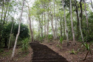 # Dağa doğru eski bir taş adım # 