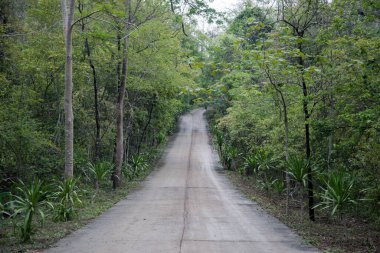 Macera sokağından dağa Tatilde 