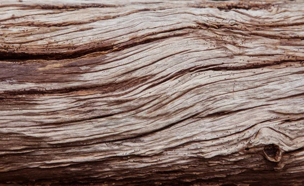 Abstrakcyjne Drewniane Tło Tekstury — Zdjęcie stockowe