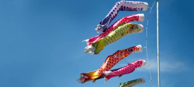 Sazan balığı bayrağı açık bir şekilde gökyüzünde asılı Japon dekorasyon tarzında sarmal bir günde