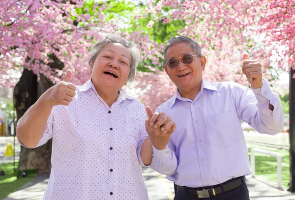 Feliz Asiático Avô Avó Sorrindo Com Forte Saudável Parque Flores — Fotografia de Stock