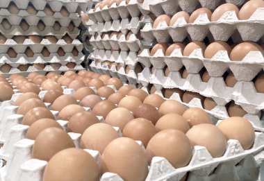 Tarım dükkanındaki kağıt rafta kahverengi tavuk yumurtası rulosu.