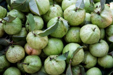 Taze guava meyvesi, tarımdan, rattan sepetinden, yukarıdan bakıldığında.