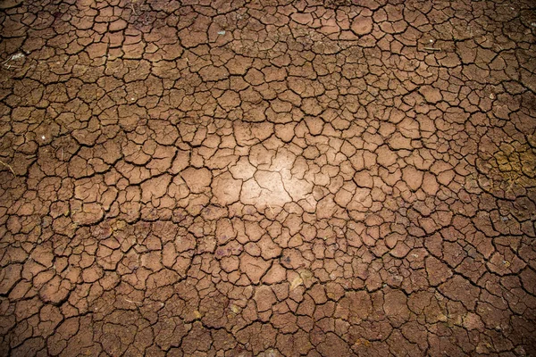 Close Dry Soil Texture Crack Background — Stock Photo, Image