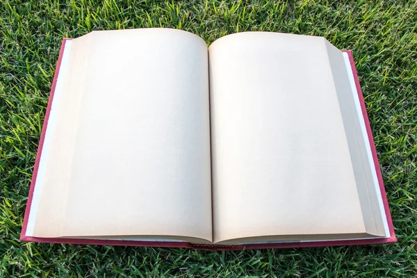 Relógio até livro em branco aberto no campo de grama — Fotografia de Stock