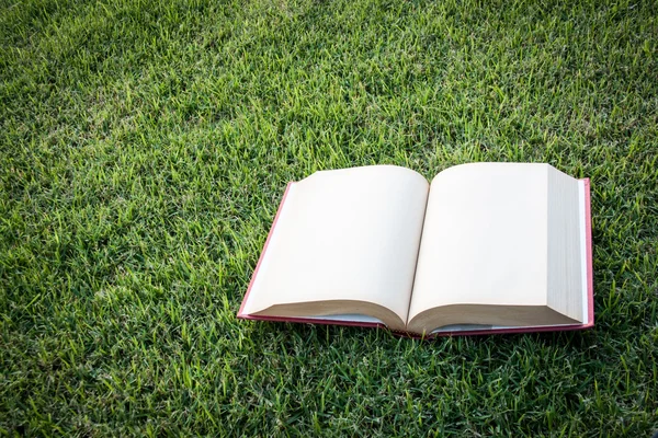 Klok omhoog open boek met blanke pagina op het grasveld — Stockfoto