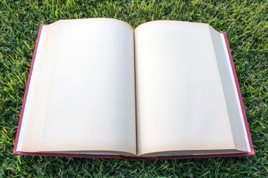 Açık boş kitap çim sahada saat 