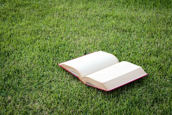 Open vintage book in green park — Stock Photo, Image
