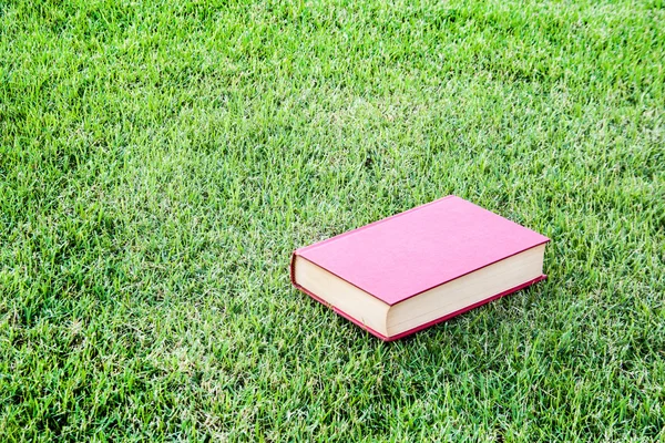 Sluit vintage boek in groen park — Stockfoto