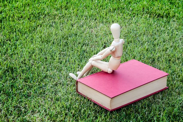 Wood modell nära vintage book i grön park — Stockfoto