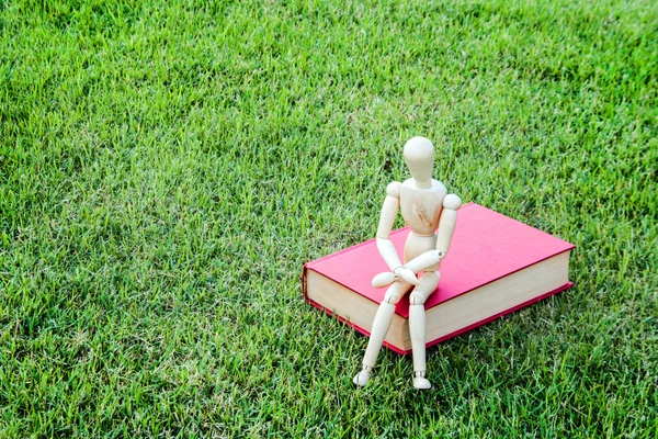 Modelo de madera cerrar libro vintage en parque verde — Foto de Stock