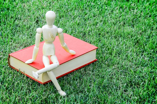 Wood modell nära vintage book i grön park — Stockfoto