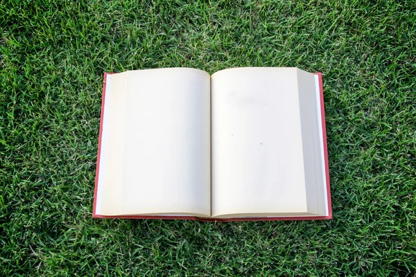 Klok omhoog open boek met blanke pagina op het grasveld — Stockfoto
