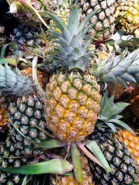 Ananas Meyve arka plan