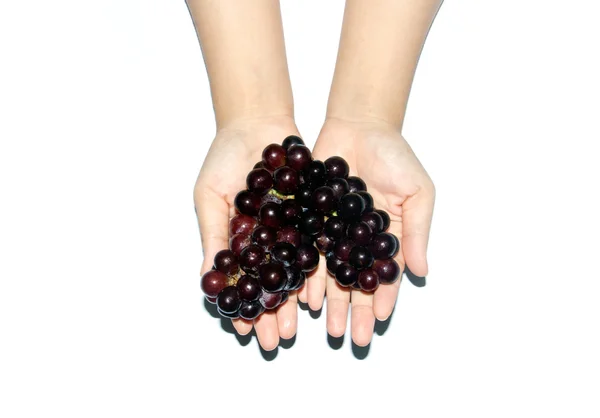 Grupo de uvas vermelhas na mão humana — Fotografia de Stock