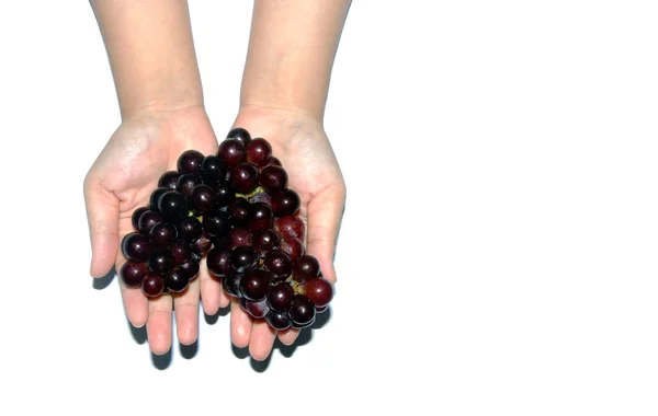 Grupo de uvas vermelhas na mão humana — Fotografia de Stock