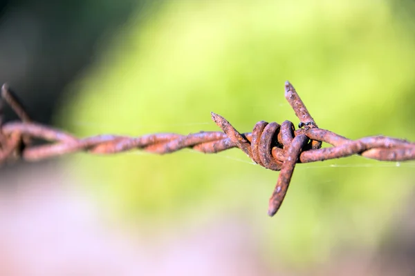 Nära håll Rusty barb wire — Stockfoto