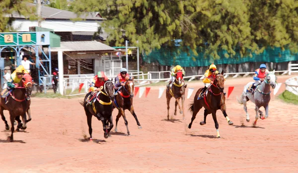 Rörliga häst racing sport — Stockfoto
