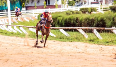 hareketli at spor yarış