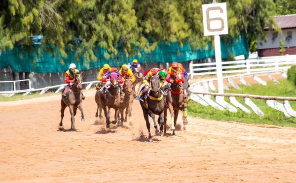 Bewegende paardenrennen sport — Stockfoto