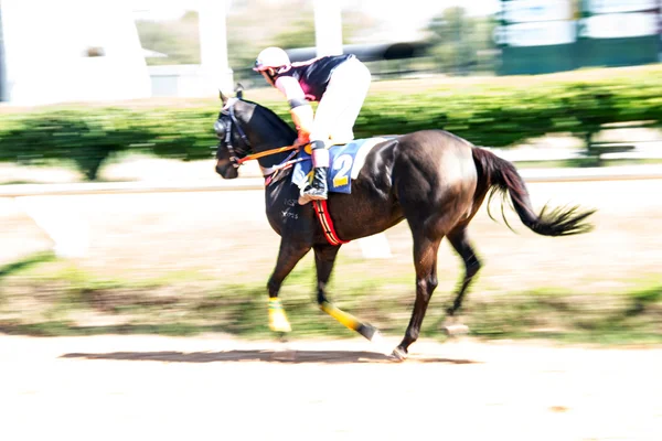 Deporte de carreras de caballos y jocky en movimiento — Foto de Stock