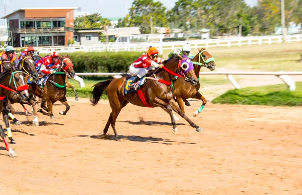 Deporte de carreras de caballos y jocky en movimiento —  Fotos de Stock