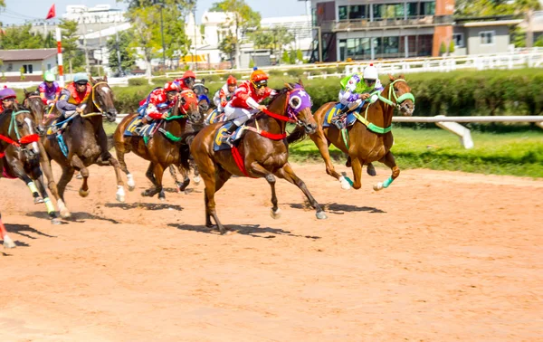 Moving jocky and horse racing sport — Stock Photo, Image