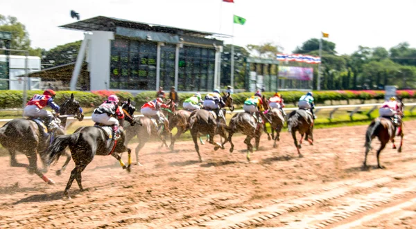 Deporte de carreras de caballos y jocky en movimiento — Foto de Stock