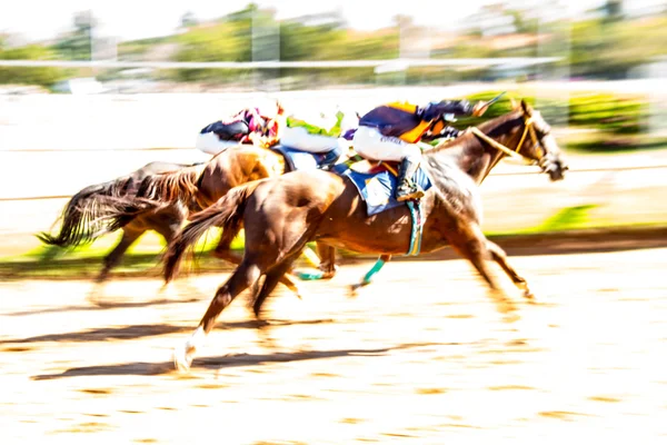 Bewegender Jocky- und Pferderennsport — Stockfoto