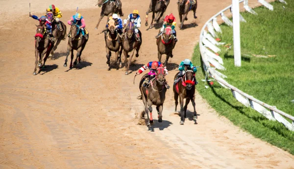 Deporte de carreras de caballos y jocky en movimiento —  Fotos de Stock