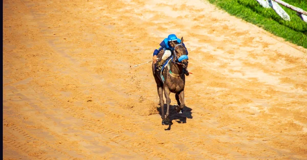 Moving jocky and horse racing sport — Stock Photo, Image