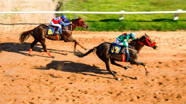 Deporte de carreras de caballos y jocky en movimiento — Foto de Stock