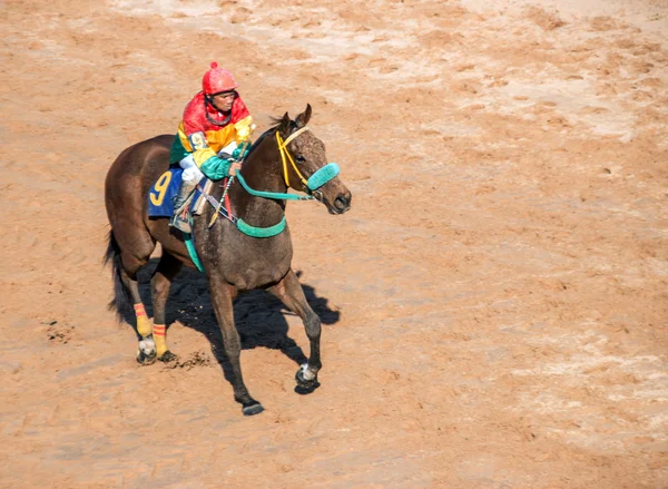 Moving jocky and horse racing sport — Stock Photo, Image