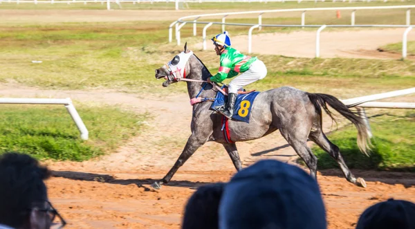 Shot jocky en paard racen sport verplaatsen — Stockfoto
