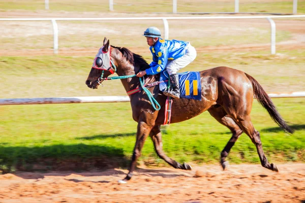 Moving shot jocky and horse racing sport — Stock Photo, Image