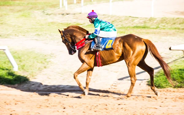 ショットのジョッキーと馬のレースのスポーツを移動 — ストック写真