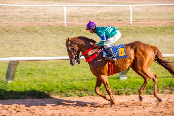 Moving Shot Jocky und Pferderennsport — Stockfoto