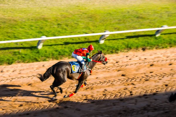 Moving shot jocky and horse racing sport — Stock Photo, Image