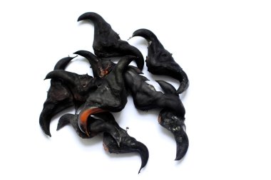 Beyaz arka planda kestane