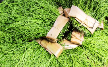 Akasya pennata veya cha-om ile muz bandle