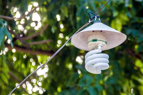 Lámpara de campamento eléctrica en eco ahorro de energía —  Fotos de Stock