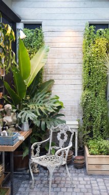 Beyaz süslü bir sandalye ve bereketli canavar bitkilerinden oluşan zarif bir bahçe terası. Tropikal yeşillik ve yaşam tarzı tasarımı için ahşap arka planlı kırsal alan