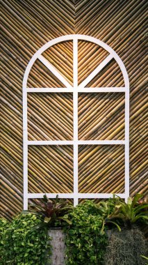 Bambu arka planı ve yemyeşil canavar bitkileriyle beyaz çerçeve paylaşımlı yaratıcı bahçe verandası.