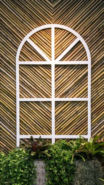 Bambu arka planı ve yemyeşil canavar bitkileriyle beyaz çerçeve paylaşımlı yaratıcı bahçe verandası.