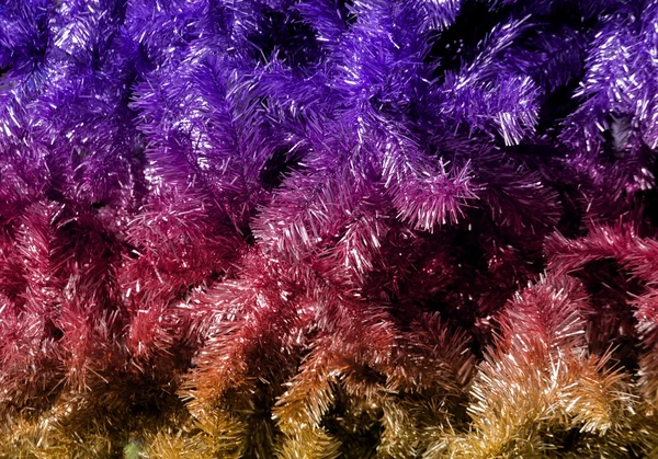 Текстура ёлки — стоковое фото