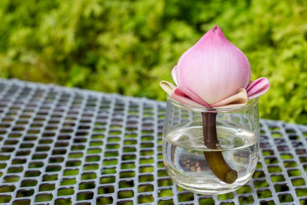 Corte flor de loto rosa estilo zen deco — Foto de Stock