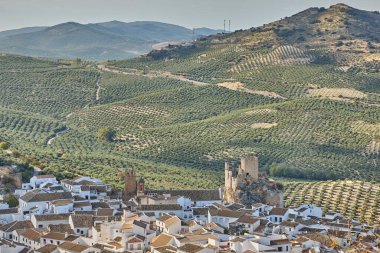 Uçsuz bucaksız zeytin tarlaları olan yuvarlanan tepelerin arasına kurulmuş İspanyol köyünün beyaz evleri.