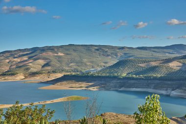 Etrafı zeytin ağaçlarıyla çevrili yuvarlanan tepelerle çevrili mavi gökyüzünü yansıtan rezervuar suyu.
