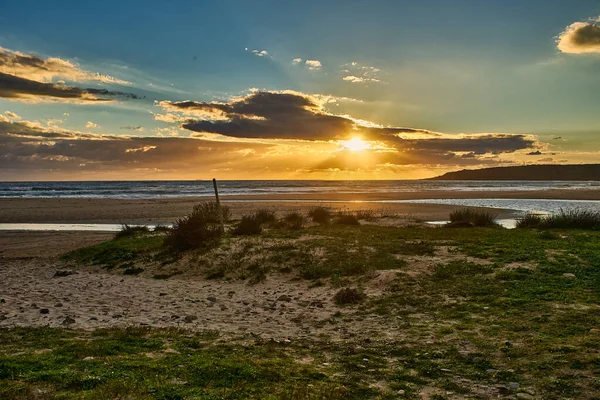 Okyanus dalgaları ve kıyı bitkileriyle kumlu sahilde güneş batıyor.