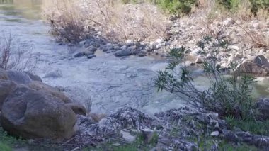 Nehir yatağındaki kayaların üzerinden hızla akan temiz su yemyeşil bir orman ve tepelerle çevrilidir.